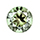 Green Amethyst